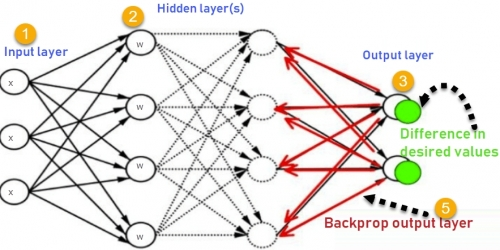 Neural Networks